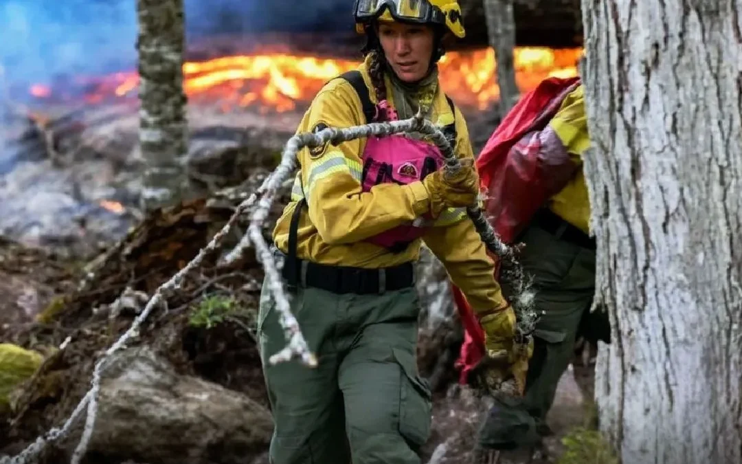 Gobierno nacional transfiere el manejo del fuego al Ministerio de Seguridad
