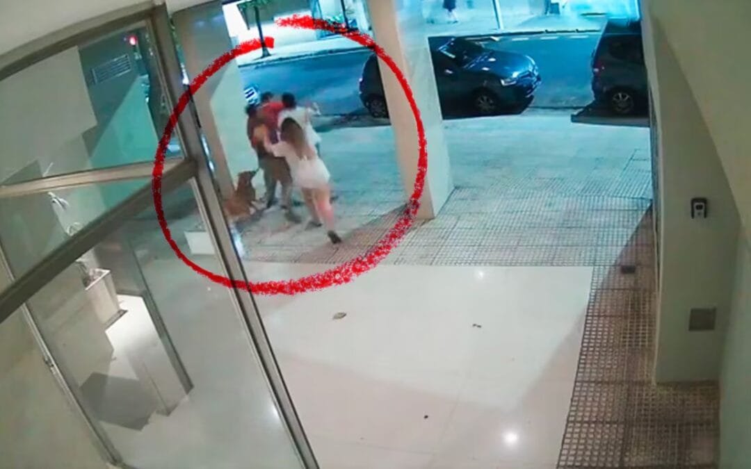 Nuevo acto de violencia por los festejos de fin de año: sucedió en Palermo; Buenos Aires. Un joven le pidió a sus vecinos que bajen el volumen de la música, estos se negaron y procedieron a increparlo con insultos y luego a golpearlo.