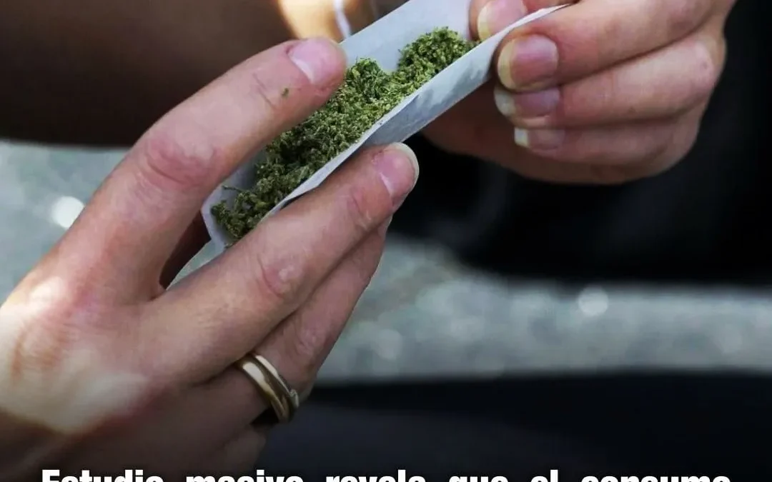 Estudio masivo revela que el consumo intensivo de cannabis reduce activación cerebral en tareas de memoria de trabajo