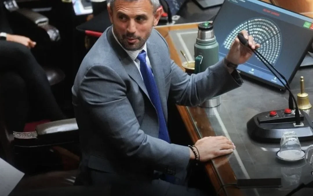 Diputados acelera la agenda para aprobar Ficha Limpia y PASO en febrero