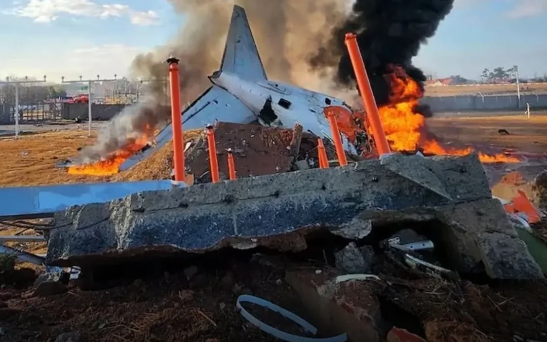 Hallan ADN de pato en los motores del avión Jeju Air, que se estrelló en Corea del Sur el 28 de diciembre