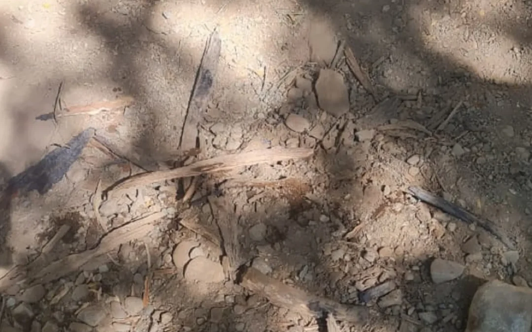 Personal que trabaja en los incendios forestales del Bolsón, encontró lo que serían claros focos intencionales de fuego, en el camino entre Wharton y La Confluencia