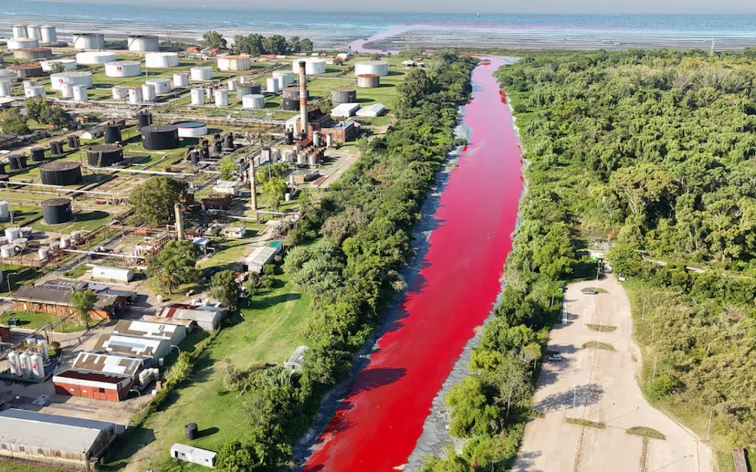Buenos Aires: El arroyo Sarandí, se tiñó de rojo debido a la contaminaciónVecinos denuncian hace tiempo los malos olores y las consecuencias de salud que producen las aguas utilizadas como vertedero de desechos industriales