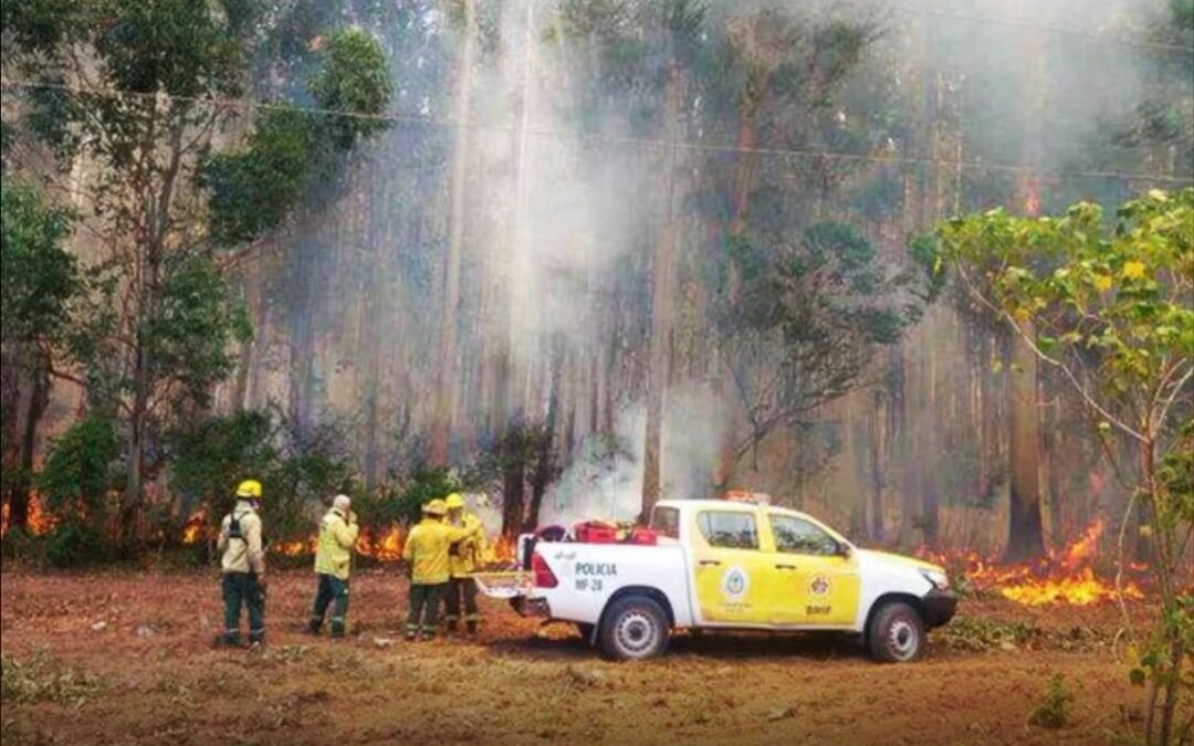Conicet advirtió la inminencia de incendios en Corrientes