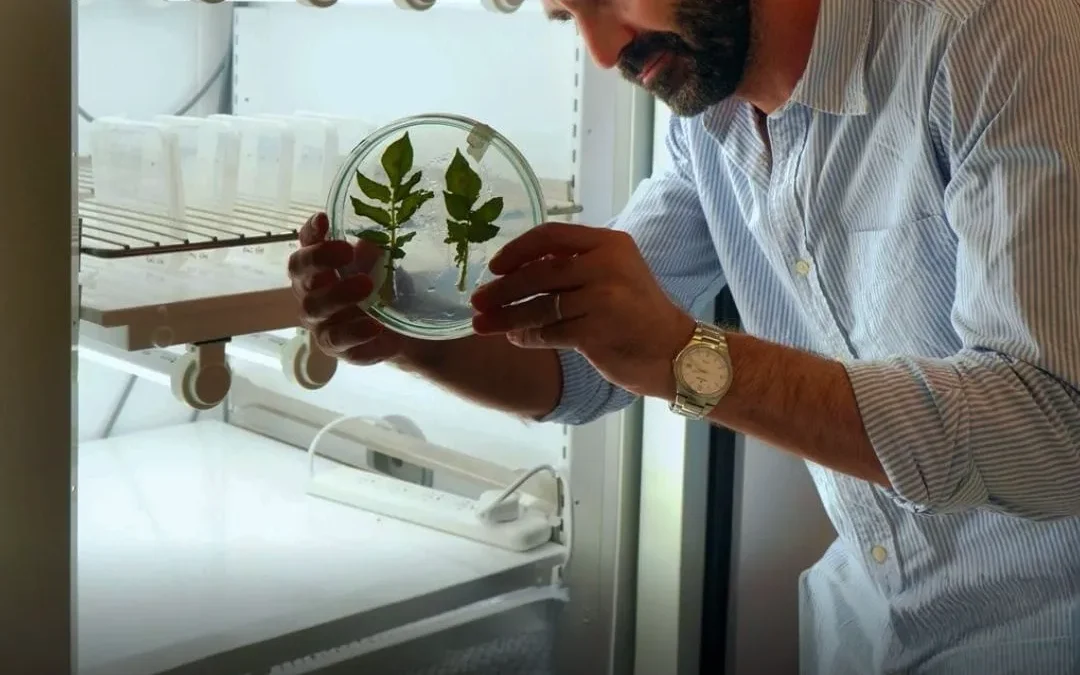 La ciencia argentina avanza