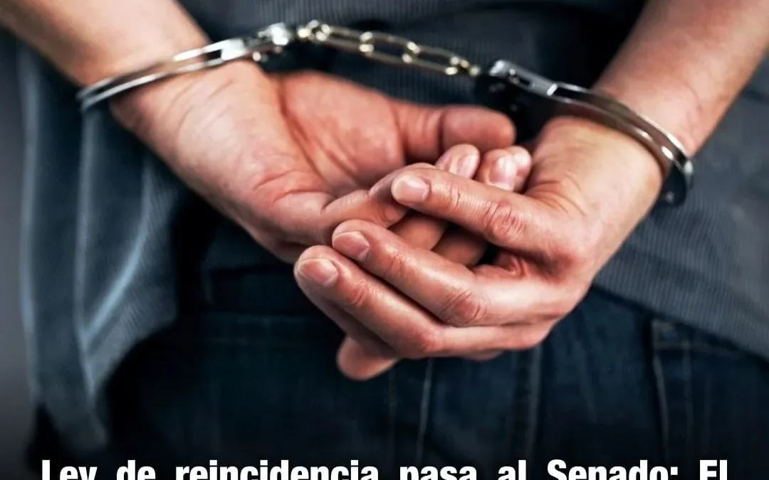 Ley de reincidencia pasa al Senado: el proyecto que busca endurecer penas a reincidentes obtiene media sanción en Diputados