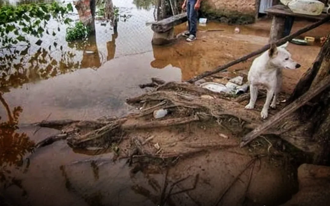 Alerta en Famatina por crecida de ríos tras tormenta