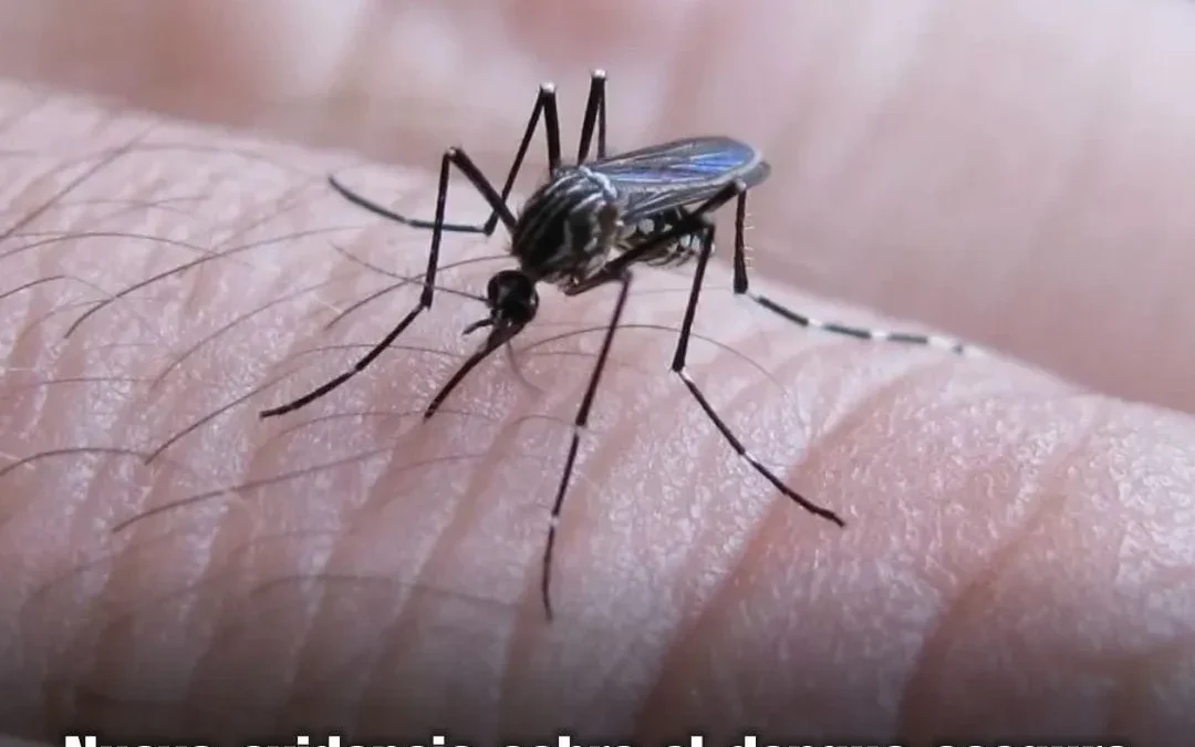 Nueva evidencia sobre el Dengue asegura que pacientes con segundas infecciones no desarrollan formas graves,