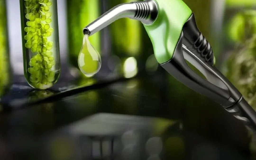 Vicegobernadores del Norte Grande buscan nueva ley de biocombustible