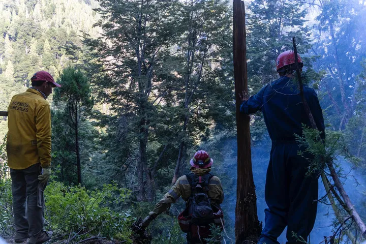 Bomberos de distintas partes del país brindan servicios en El Bolsón. Desde el inicio del incendio, cerca de 1000 personas fueron evacuadas, un hombre de 84 años murió y 3400 hectáreas de vegetación fueron consumidas