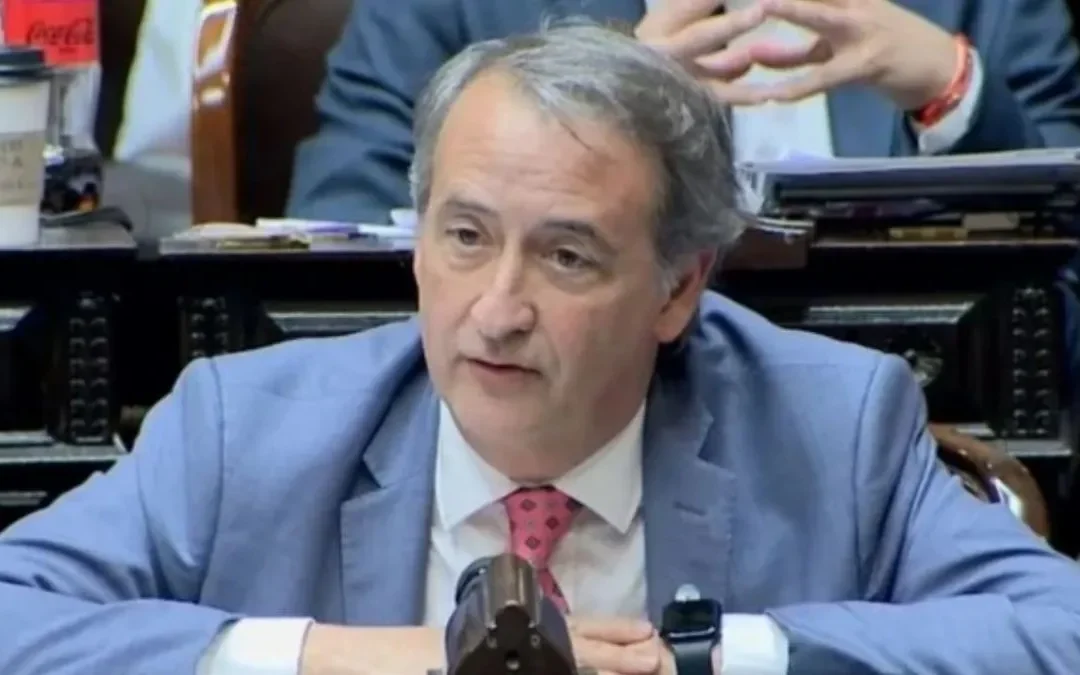 Diputado de LLA asegura que tendrán los votos necesarios para suspender las elecciones PASO de este año