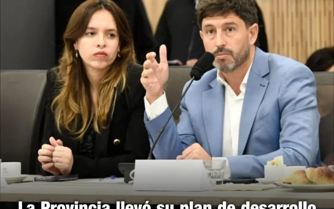 La Provincia llevó su plan de desarrollo minero al congreso