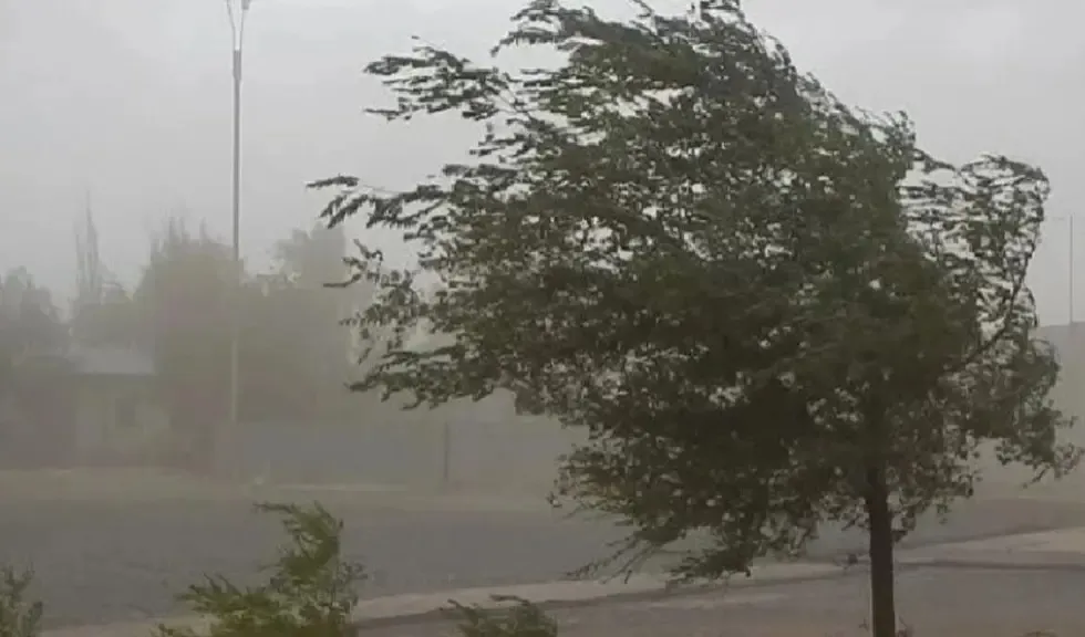 Córdoba: Fuertes ráfagas de viento y tormenta azotaron a Villa Ciudad Parque, a 80 km de la ciudad Capital