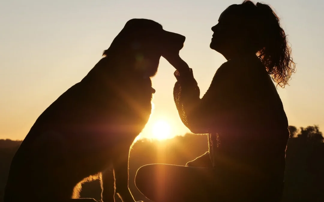 Realizan diferentes actos por el Día del Animal, que se celebra el 29 de abril: Informaron desde el refugio San Roque de castraciones a bajo costo, una marcha en silencio y la inauguración de la estatua de la perra Chaya