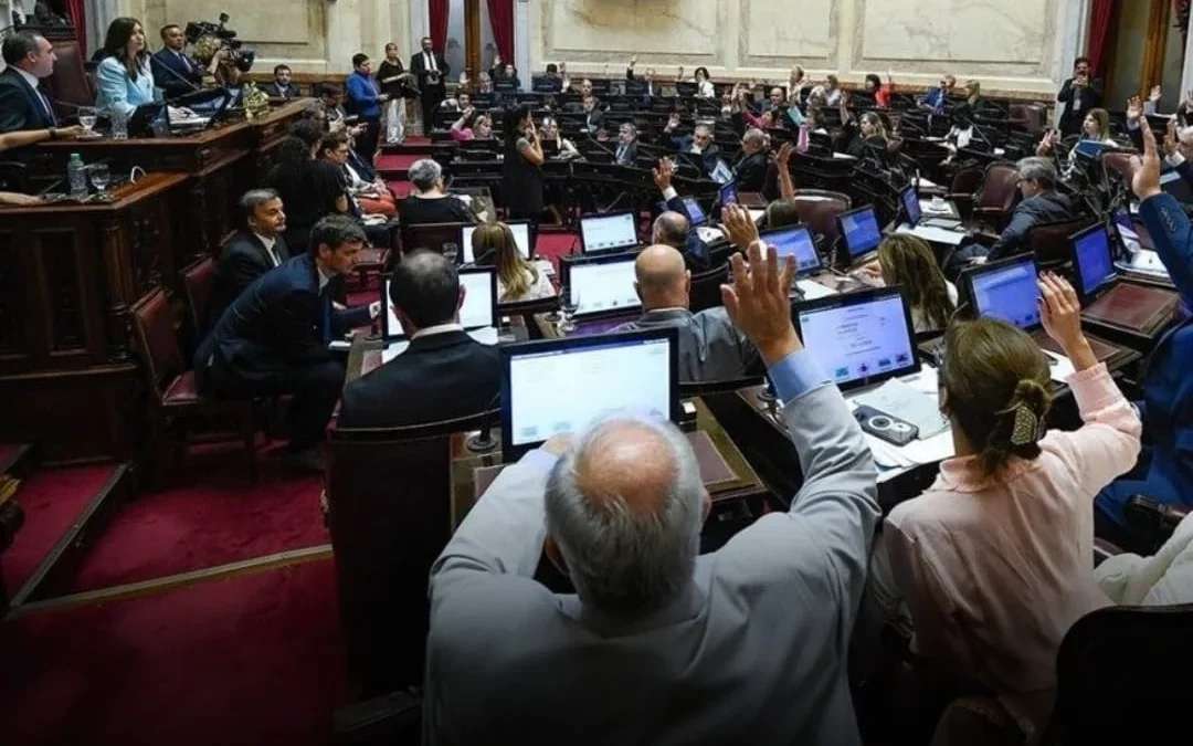El Senado rechazo el debate de «Ficha Limpia»