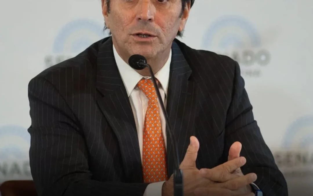 Renunció Garcia-Mansilla