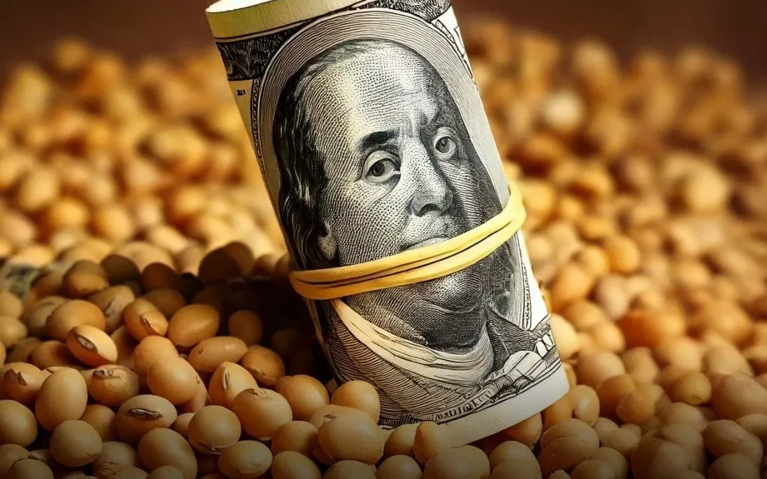 Crisis financiera: el campo acumula toneladas sin vender