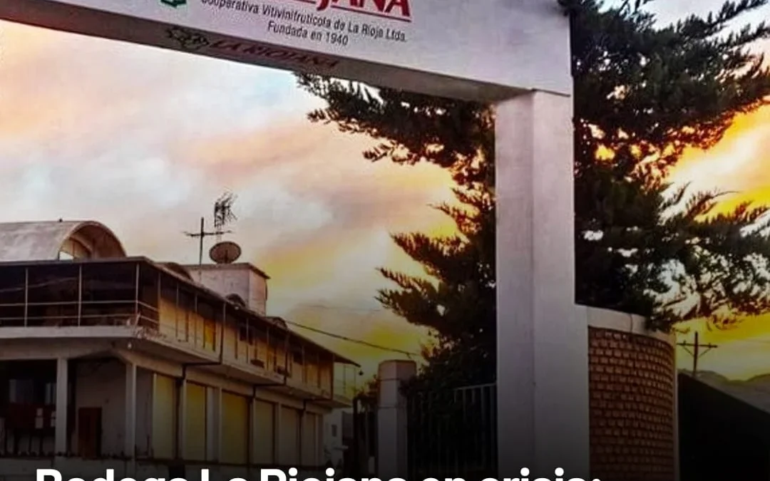 Bodega La Riojana en crisis: 245 trabajadores directos temen suspensiones