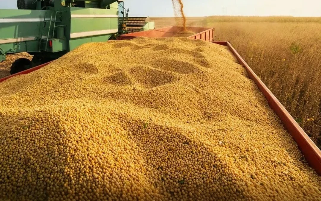 Tensión entre Javier Milei y el campo