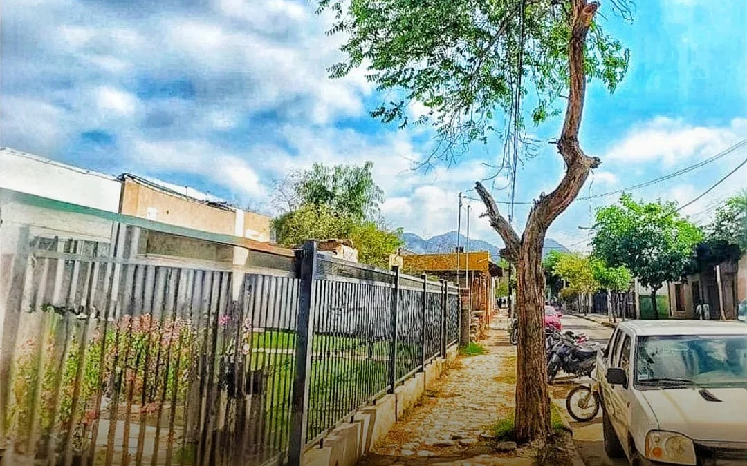 Chilecito endurece controles: multarán a quienes poden arboles