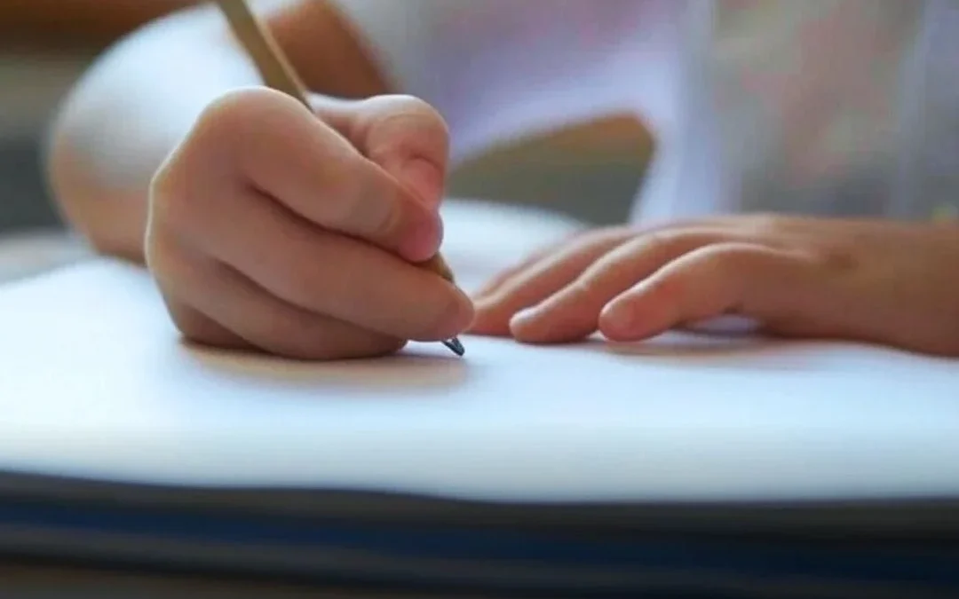 Padres denuncian abuso entre estudiantes de primaria en Chilecito