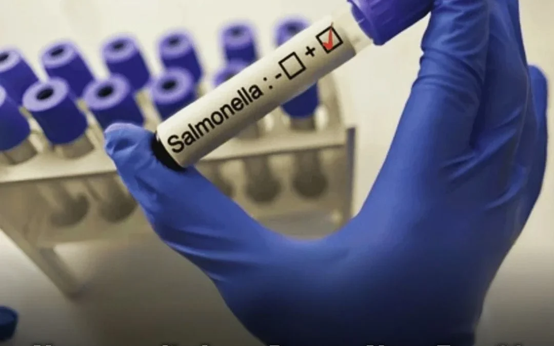 Alarma sanitaria en Buenos Aires: Tras 21 años, reapareció un brote de fiebre tifoidea en Ciudadela por posible contaminación del agua