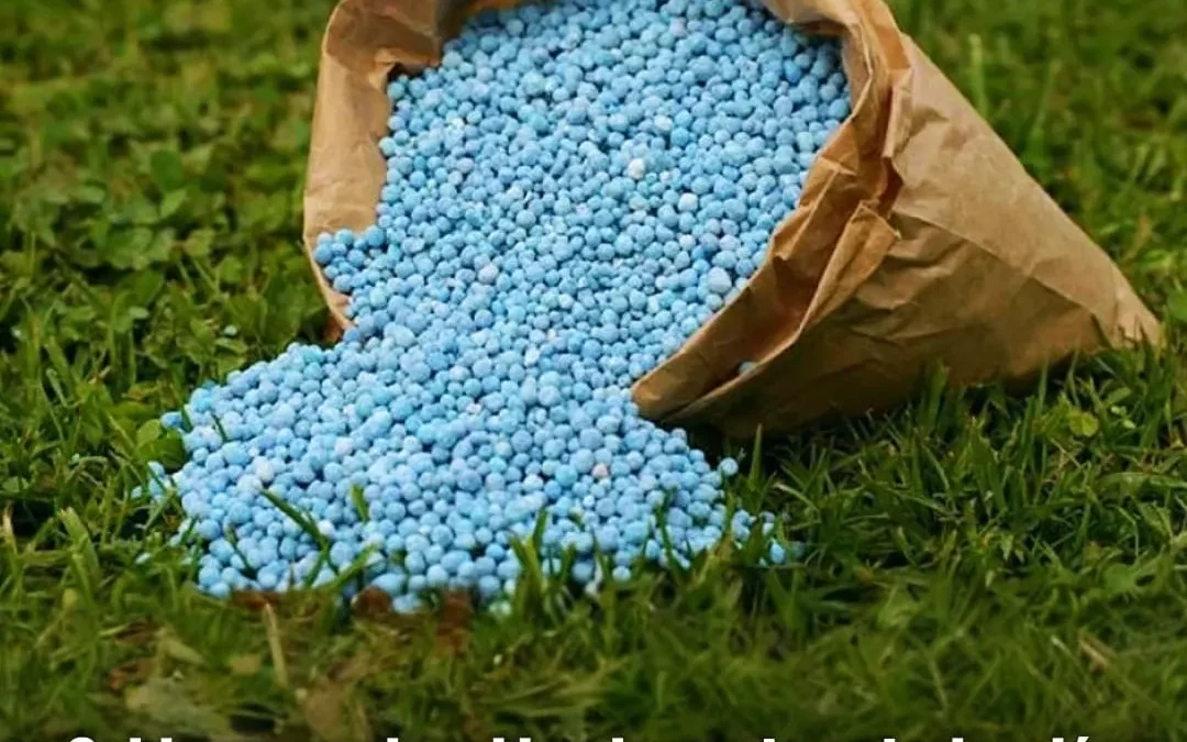 Gobierno nacional implementa autorización automática en importación de fertilizantes de «países serios»