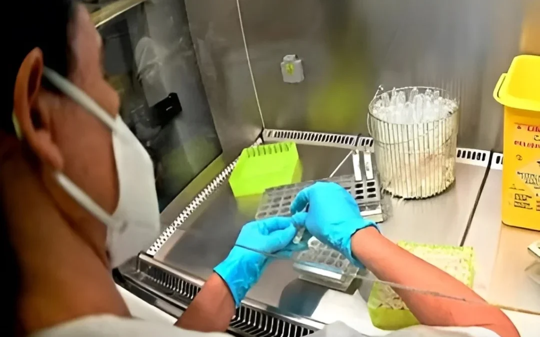 Buenos Aires: La Justicia allanó laboratorio y droguería que habría vendido fentanilo contaminado al Hospital Italiano de La Plata, causando 9 muertes