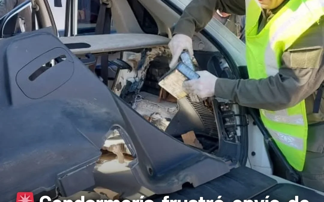 Gendarmería frustró envió de 54 kilos de cocaína a La Rioja