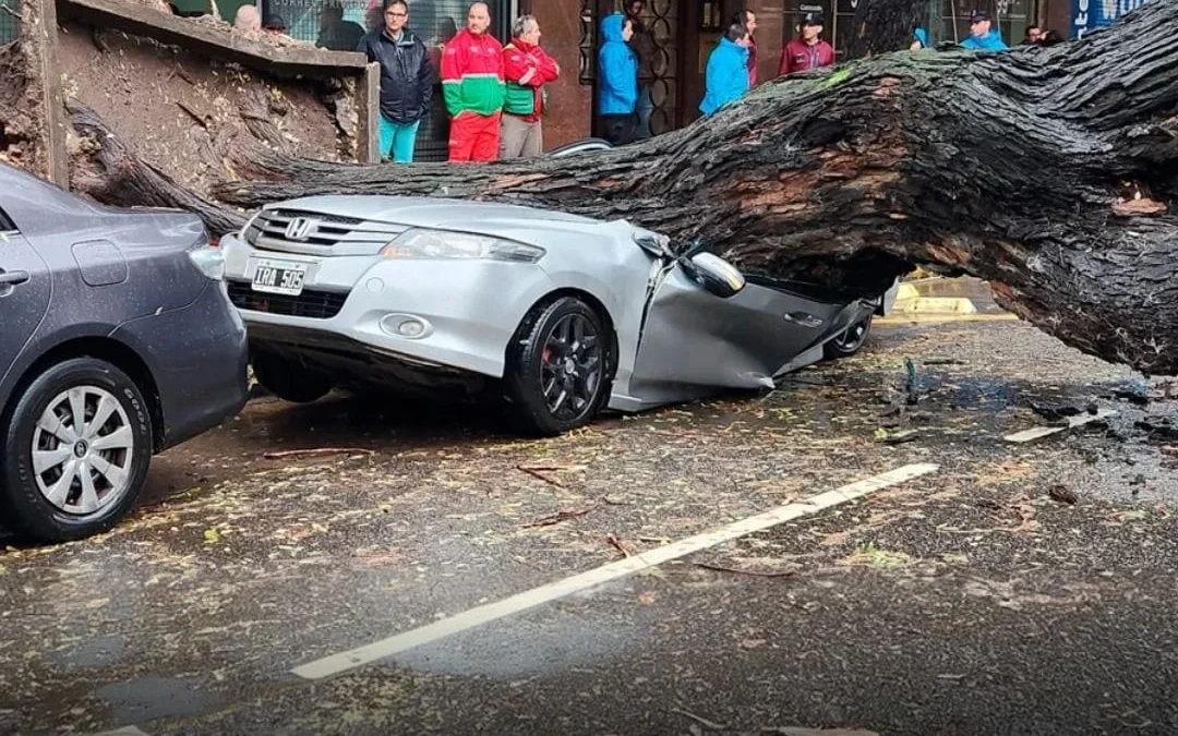 Temporal devastador en Buenos Aires