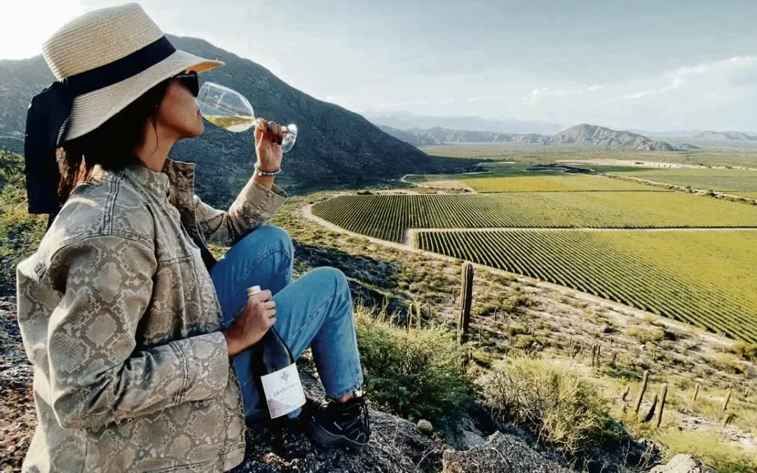 La Provincia, junto a la empresa Rioja Bus, lanzó la Ruta del Vino riojano en Chilecito y Famatina: Los tours visitarán bodegas, con recorridos los días viernes y sábados