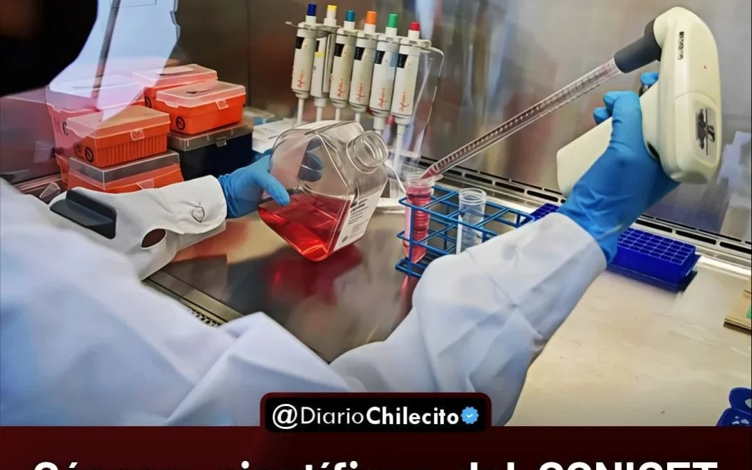 Cáncer: científicos del CONICET descubren como reprogramar células que ayudan a los tumores y crean anticuerpos para frenarlas