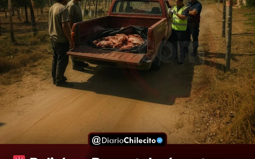 Policía y Bromatología actuaron tras detectar transporte irregular de carne sin condiciones sanitarias