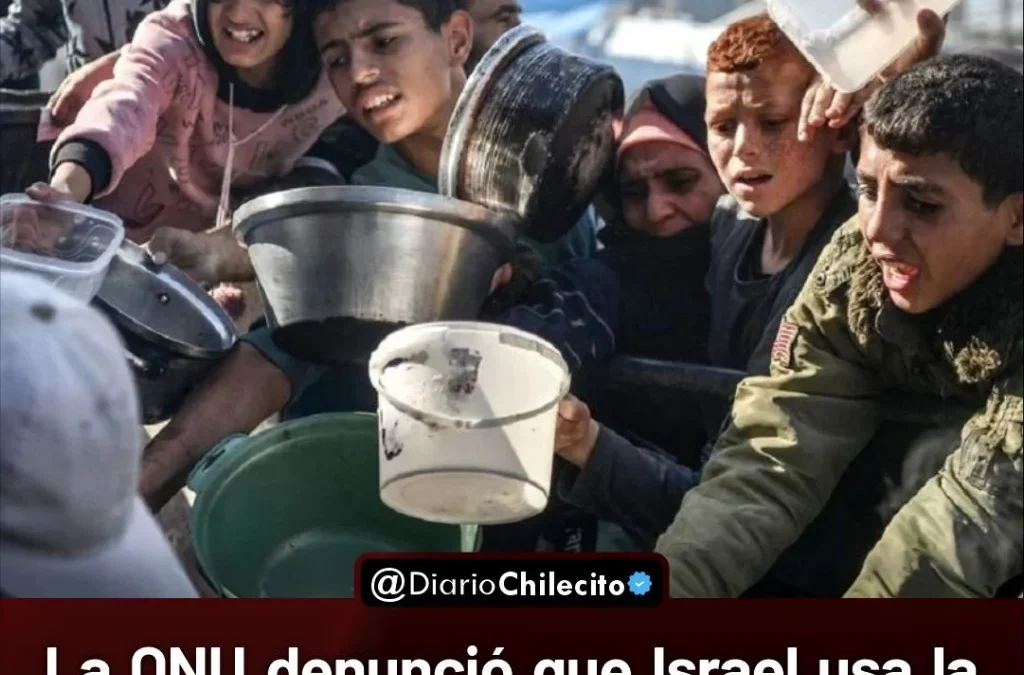 La ONU denunció que la Israel usa la comida como arma en Gaza, y que la ayuda humanitaria se convierte en trampa mortal