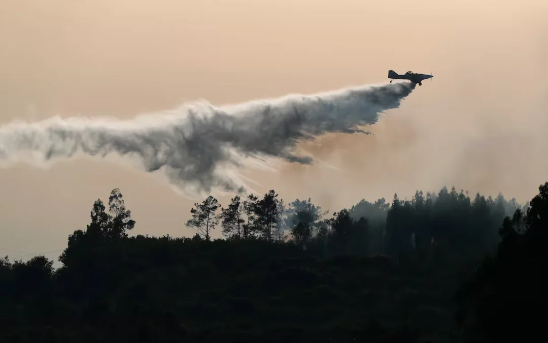 Incendios forestales que afectan principalmente a las provincias de Turquía, causando la evacuación de más de 50 mil personas