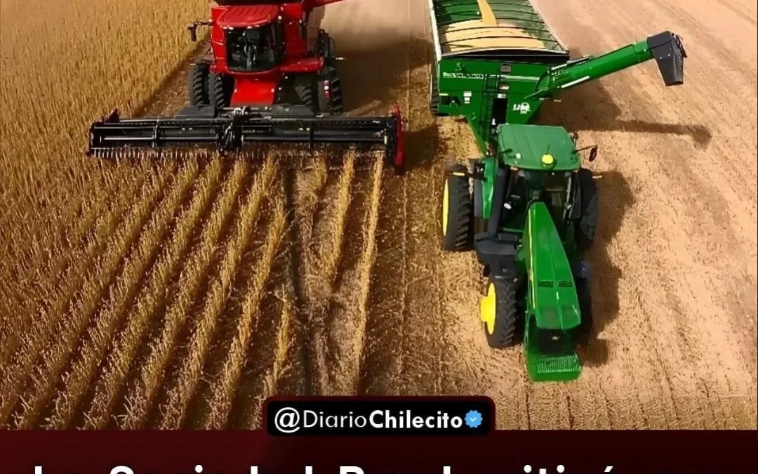 La Sociedad Rural criticó que Nación vuelva a cobrar retenciones al campo