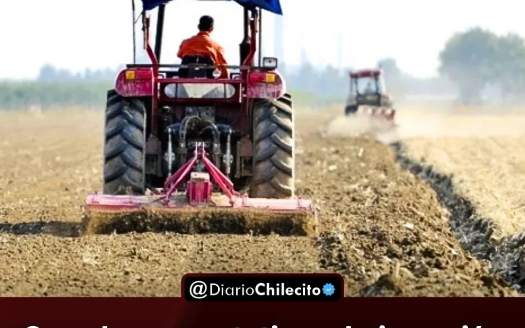 Caen las expectativas de inversión en el agro