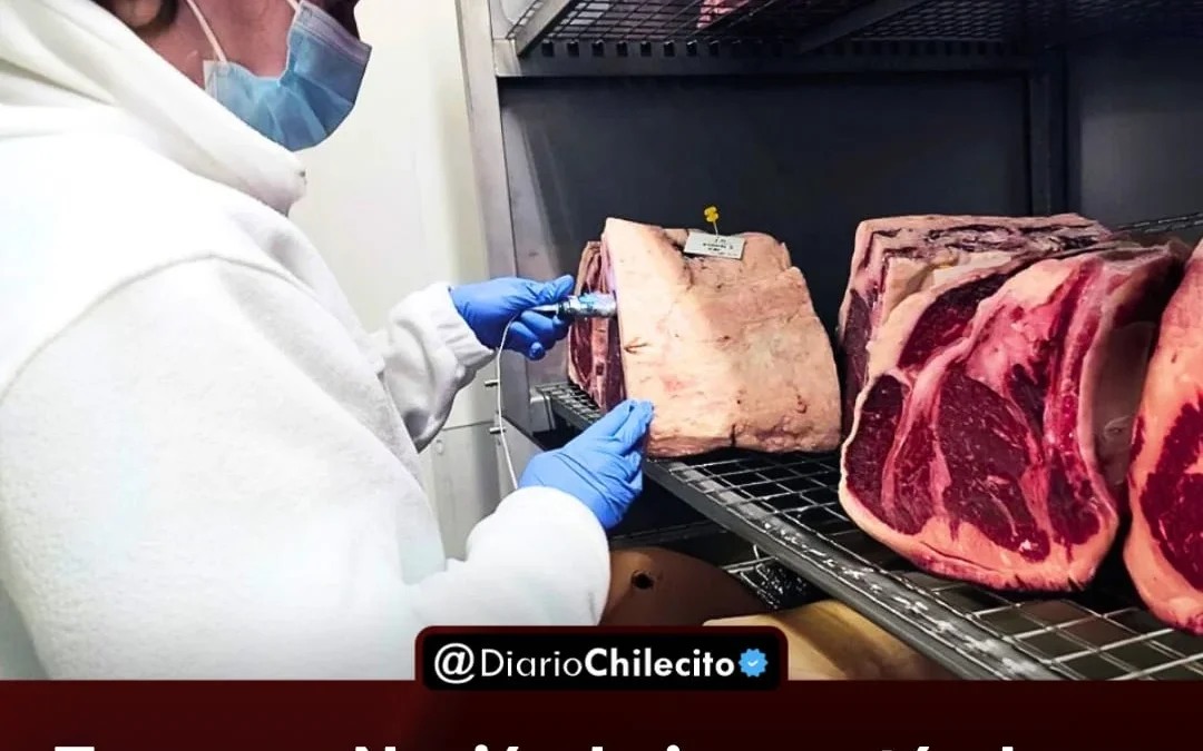 Tras que Nación bajara estándares de calidad de la carne, Santa Cruz implementa controles propios para evitar enfermedades