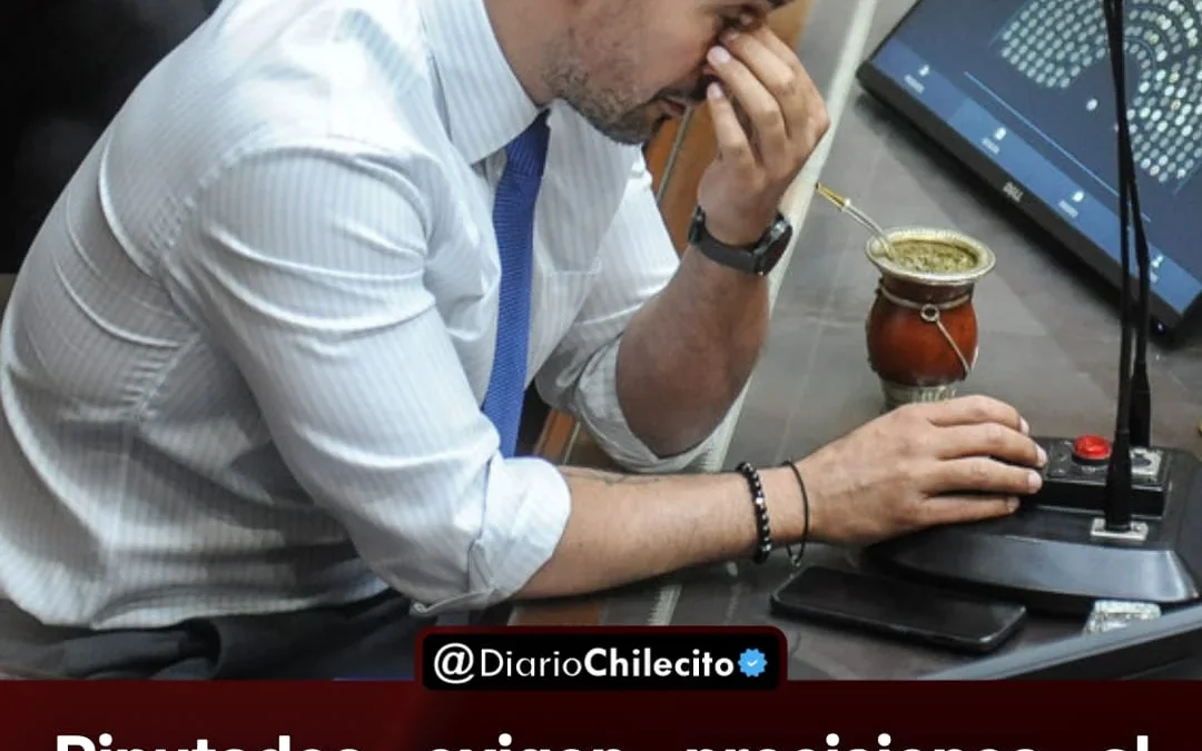 Diputados exigen precisiones al Gobierno nacional sobre fondos públicos y empresas asociadas a Martín Menem