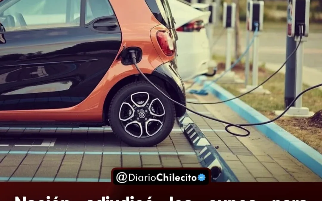 Nación adjudicó los cupos para importar autos eléctricos: Marcas sin fábricas locales acapararon la mayoría de las unidades
