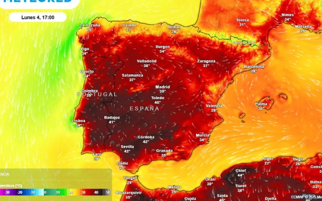 España atravesó una ola de calor de 16 días con temperaturas mayores a los 40°, que dejó más de mil víctimas fatales