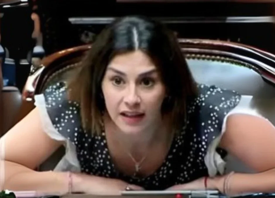 La diputada Pagano desafió a los primos Lule y Martín Menem a poner sus teléfonos a disposición de la Justicia