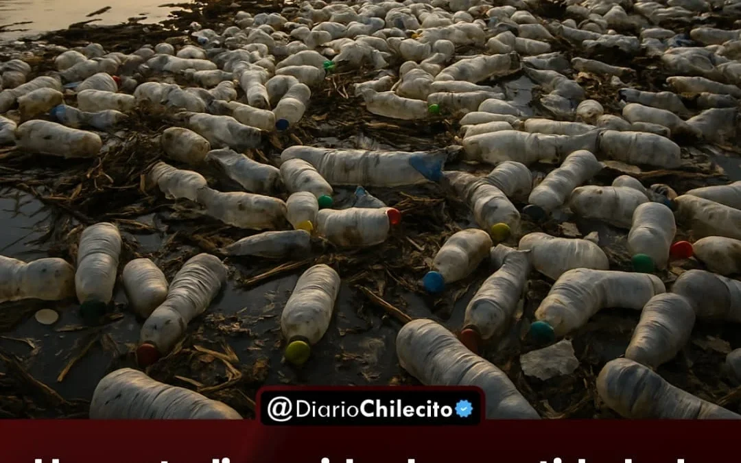 Un estudio mide la cantidad de residuos en 8 países: dos tercios de lo recolectado en ríos son plástico que se deposita en el mar