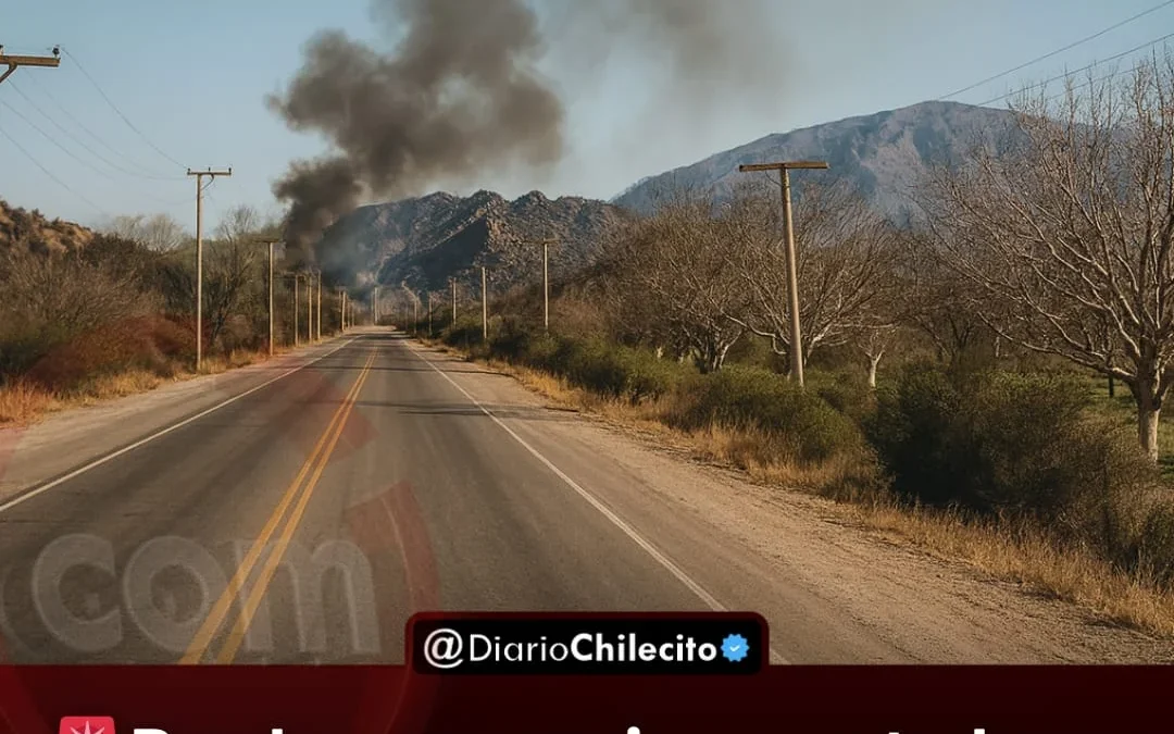 Bomberos y vecinos controlaron un incendio forestal de gran magnitud en famatina tras más de cuatro horas de trabajo
