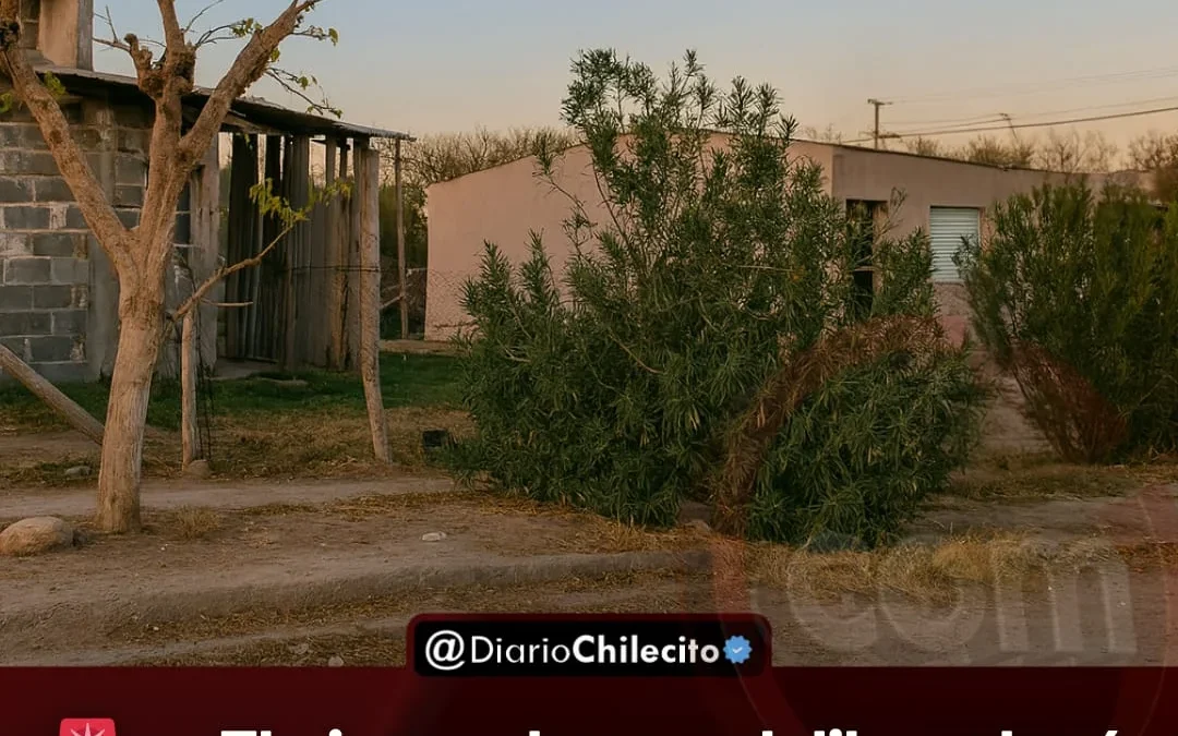 El Juez Jorge Jalil ordenó detener a un sospechoso por daños en Nonogasta, pero no lo hallaron y la captura continúa activa