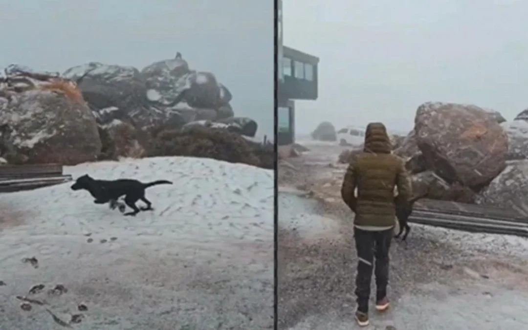 Córdoba: con 12cm de nieve acumulada, continúa cerrado al tránsito vehicular el Camino de las Altas Cumbres