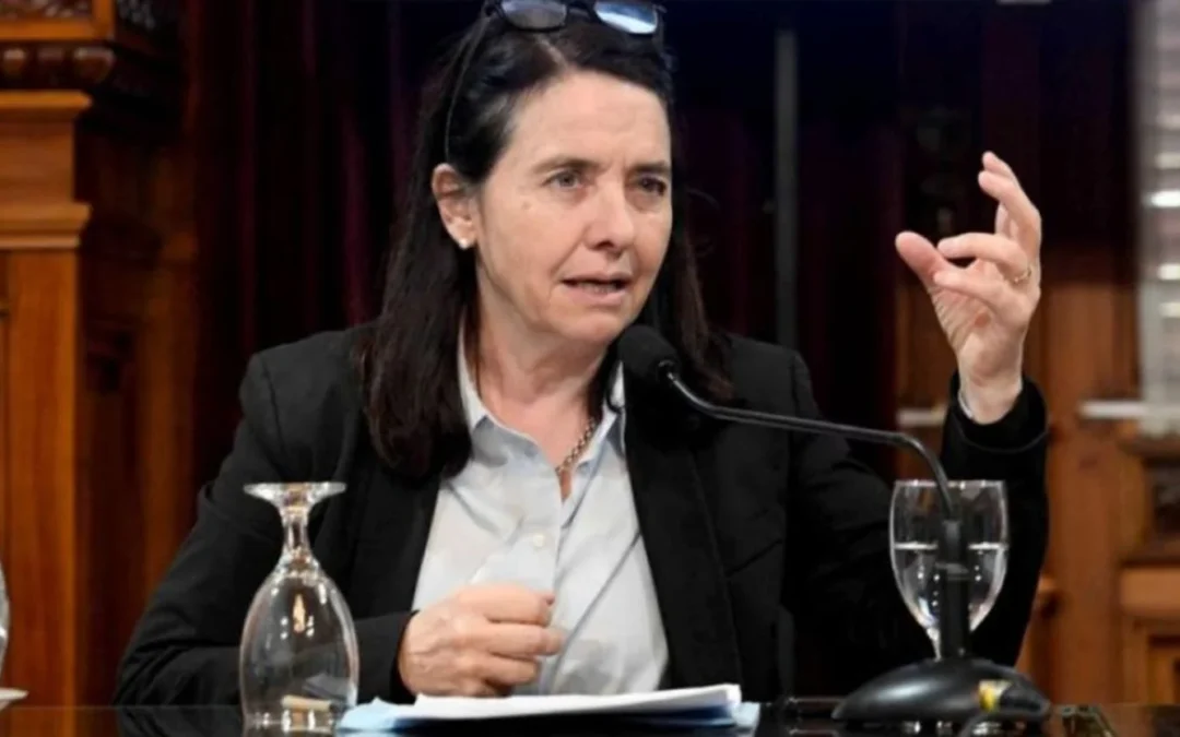 Senadora aliada de LLA dijo que «los niños argentinos no tienen derecho a venir al Garrahan a curarse. Ese derecho no lo vi en ningún lado»Habló: Carmen Álvarez Rivero, Senadora por LLA