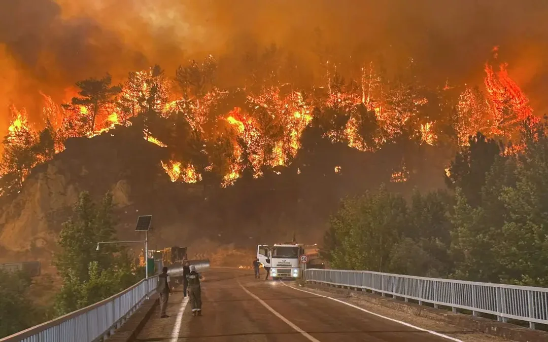 Más de 250 personas fueron evacuadas en Turquía tras un nuevo incendio forestal. En total, calcinaron más de 64 mil hectáreas