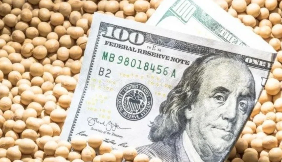 Nación quitó retenciones al campo para juntar dólares, EE.UU. se quejó y las restituyeron, haciendo estallar a los productores