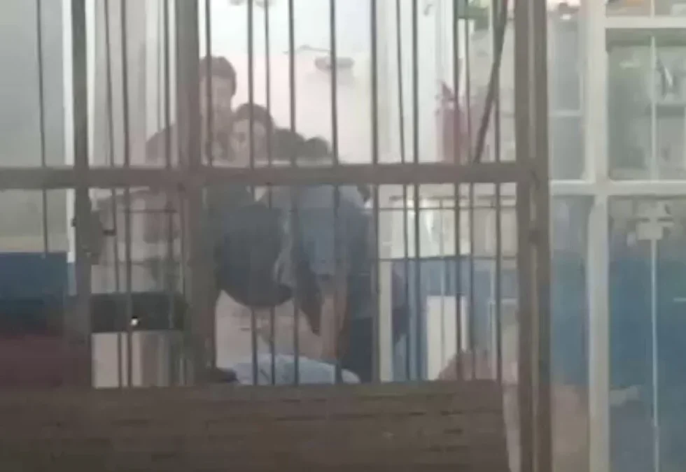 Un veterinario en Buenos Aires, agredió a una persona en situación de calle por intentar dormir en la puerta de una clínica veterinaria